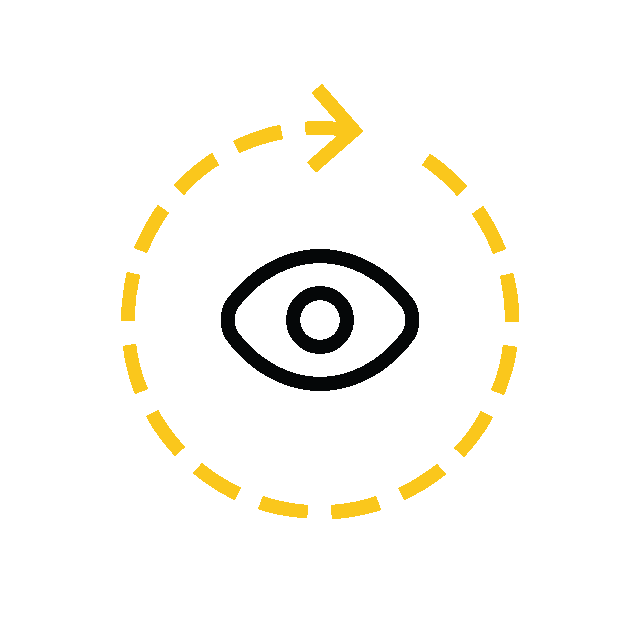 GuardianVue™ Birdseye 360° Solutions